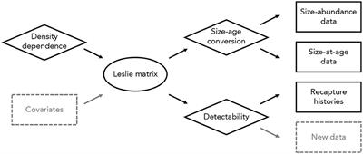 Integrating Multiple Data Types to Connect Ecological Theory and Data Among Levels